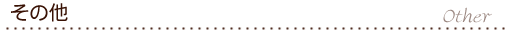 その他